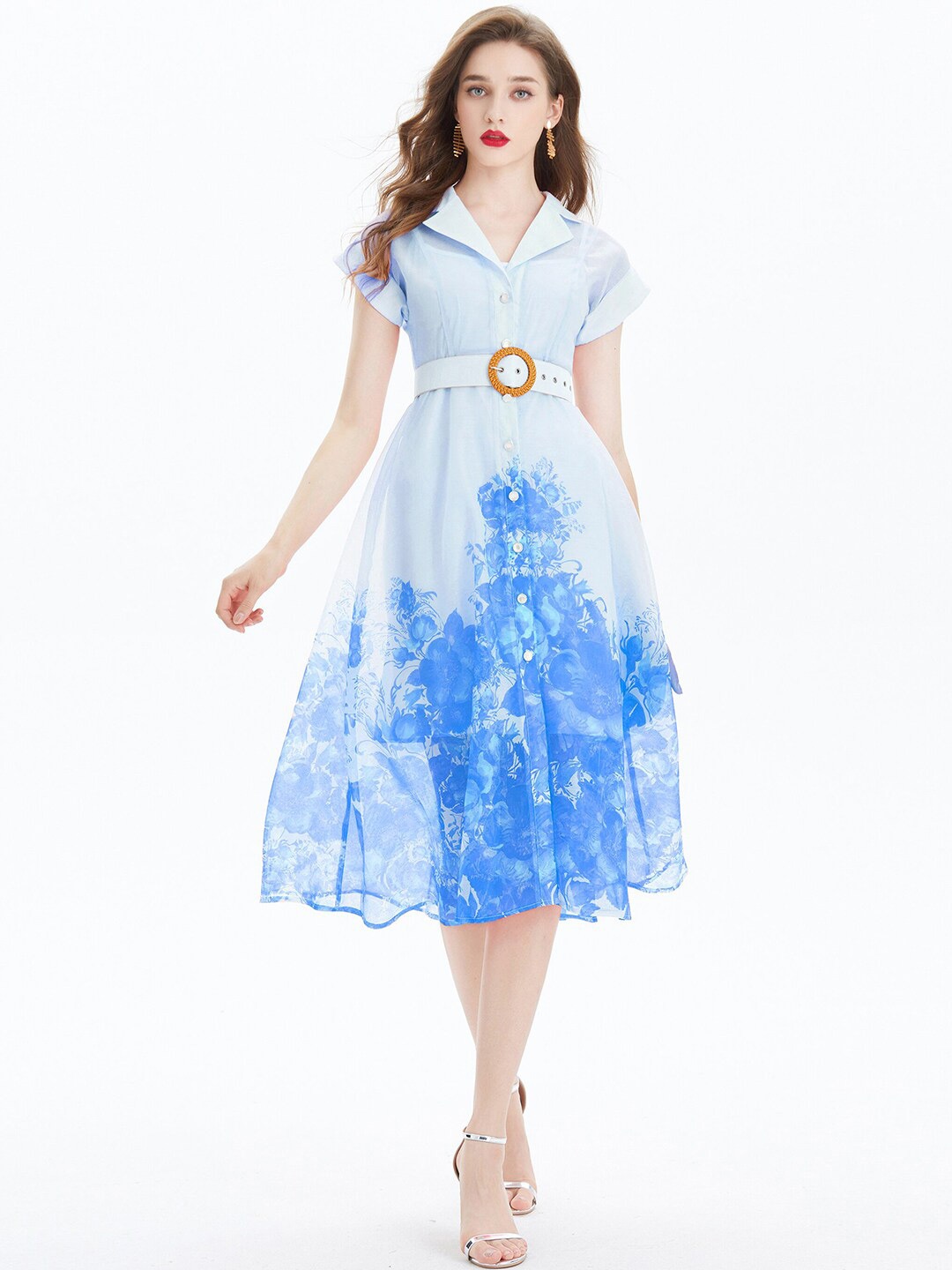 

JC Collection Floral Printed Shirt Collar A-Line Midi Dress, Blue