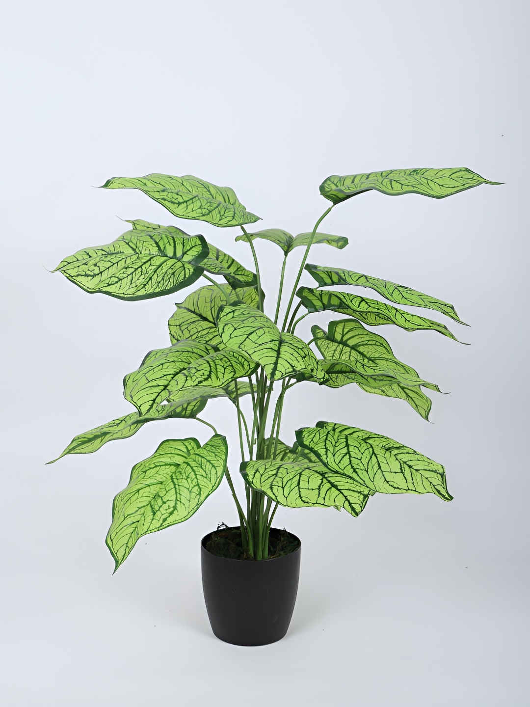 Home Bloom Green & Black Palm Artificial Plant With Pot