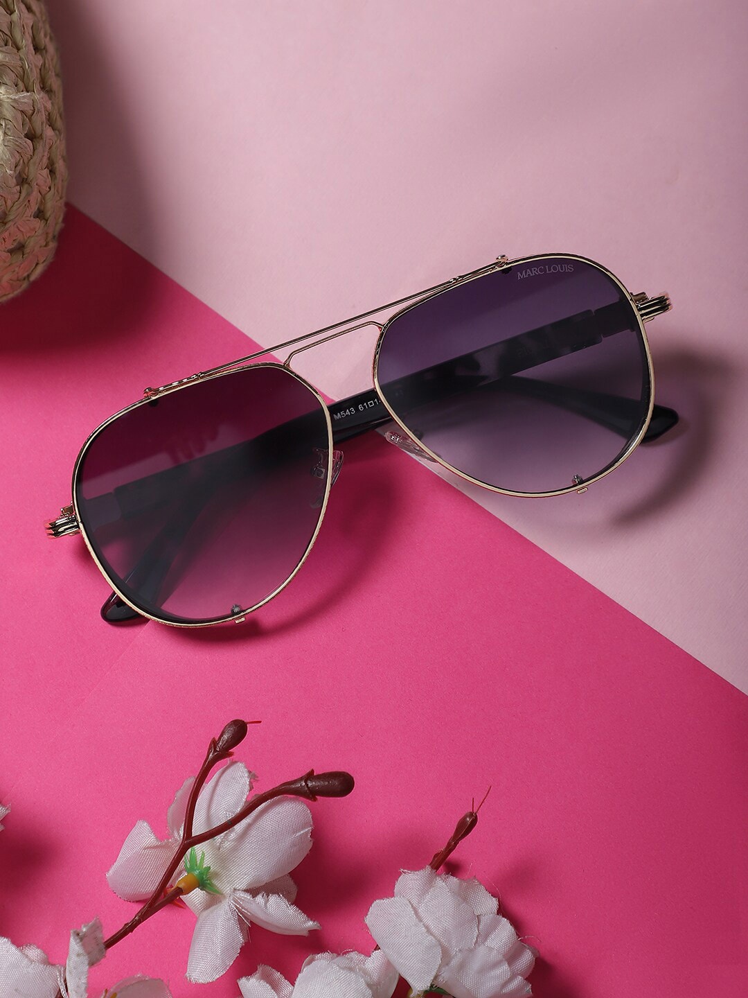 

MARC LOUIS Unisex Aviator Sunglasses ML M 543 Aviator Golden Black SG, Purple