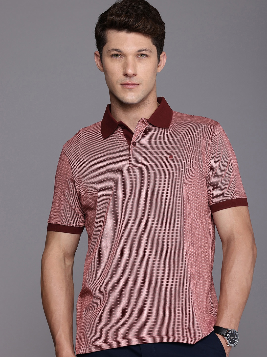 

Louis Philippe Polo Collar Pure Cotton Casual T-shirt, Maroon