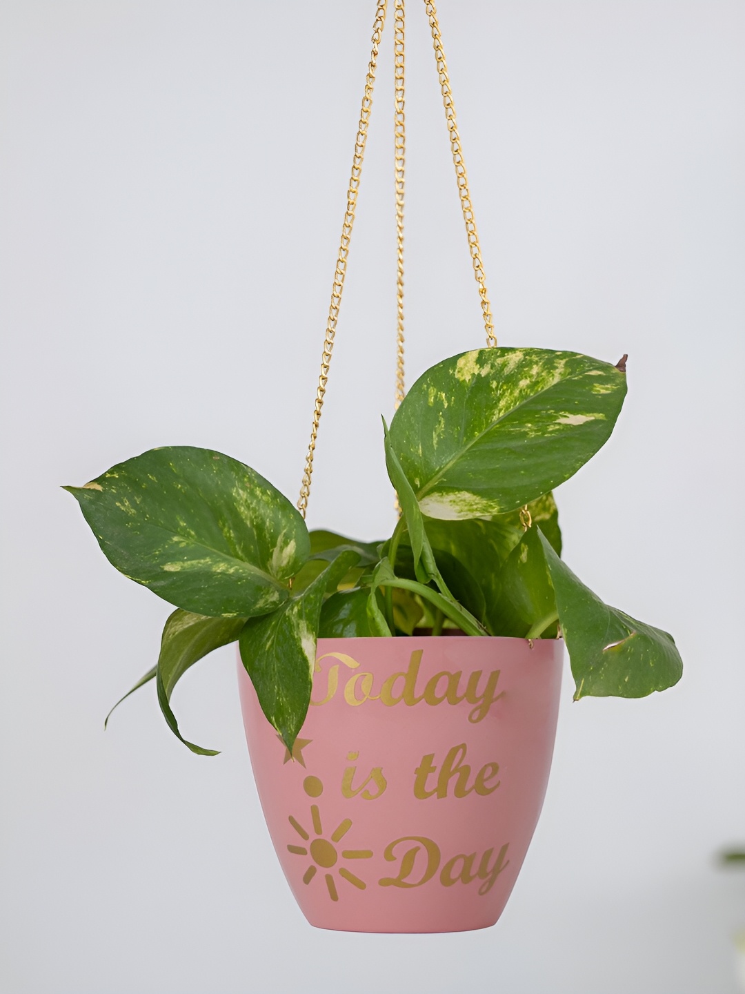 

DecorTwist Pink Printed Metal Planter With Chain