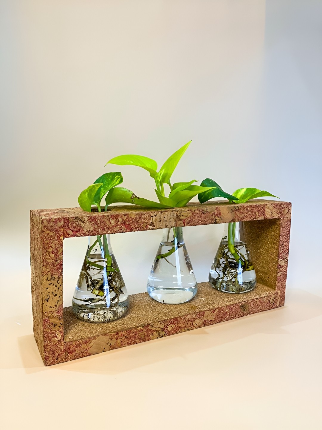 

Raw Yarns Red 3Pcs Printed Wooden Flask Water Plant Propagation Planters