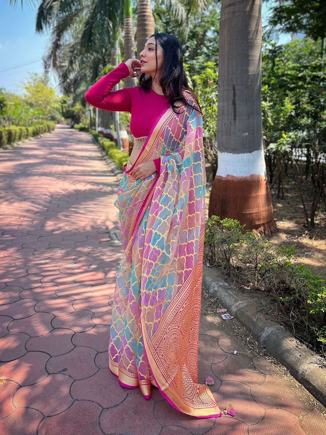 Vastrasky Global Ethnic Motifs Organza Saree, Pink