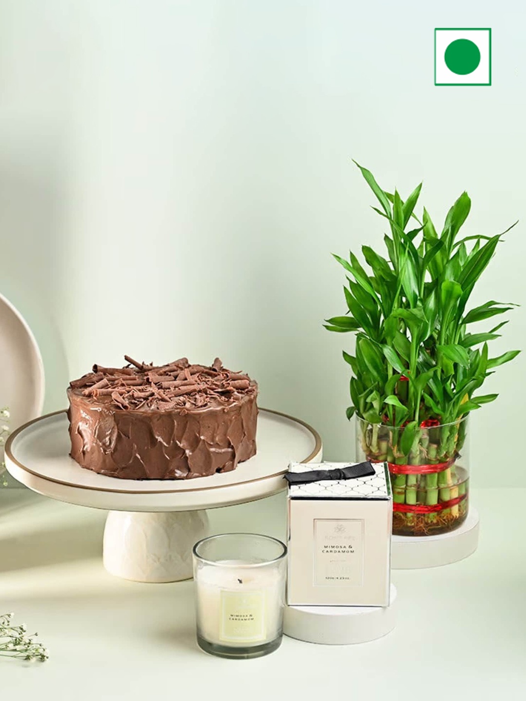 

Floweraura Live Bamboo Plant & Chocolate Flavour Round Shape Cake-500g, Brown