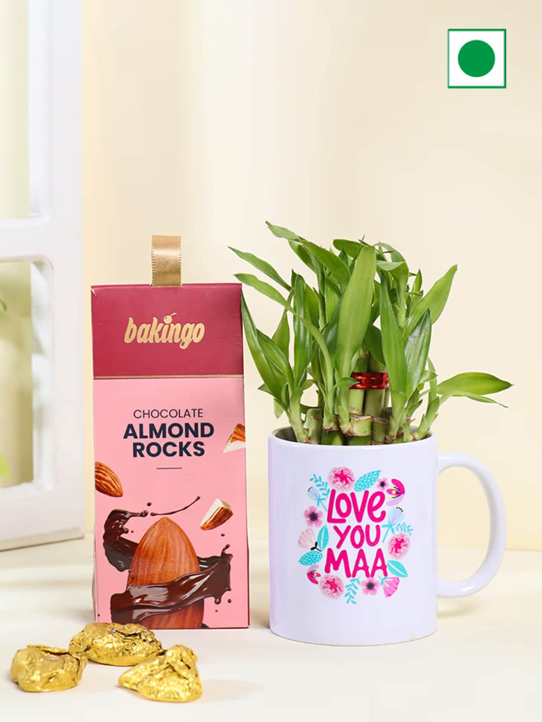 Floweraura Air Purify 2 Layer Lucky Bamboo In Mug With Almonds Rocks Chocolate, Pink