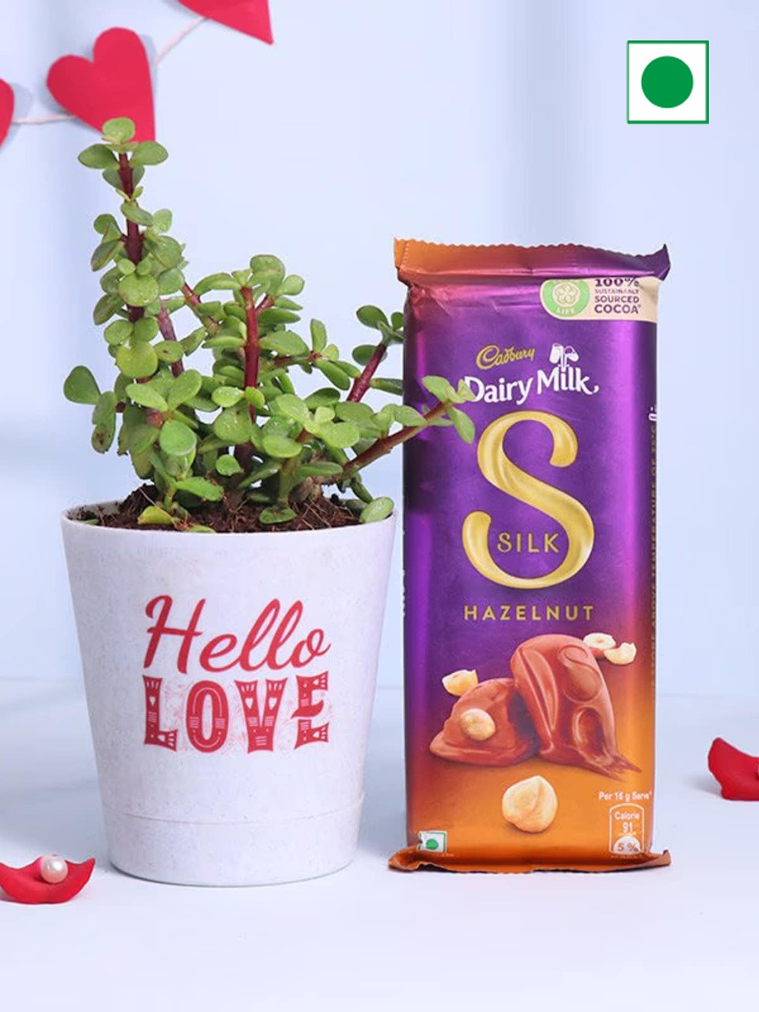 

Floweraura Jade Live Indoor Plant In Hello Love Planter With Chocolate, White