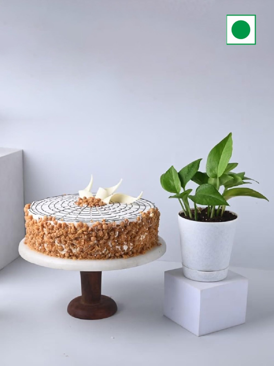

Floweraura Live Money Plant And Butterscotch Cake-500 G, Green