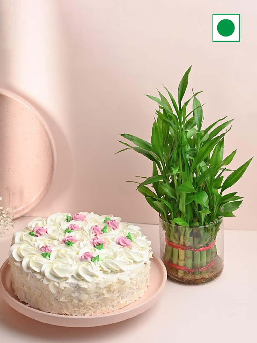 

Floweraura Bamboo Plant & Round Eggless White Forest Flavour Cake -500g, Cream