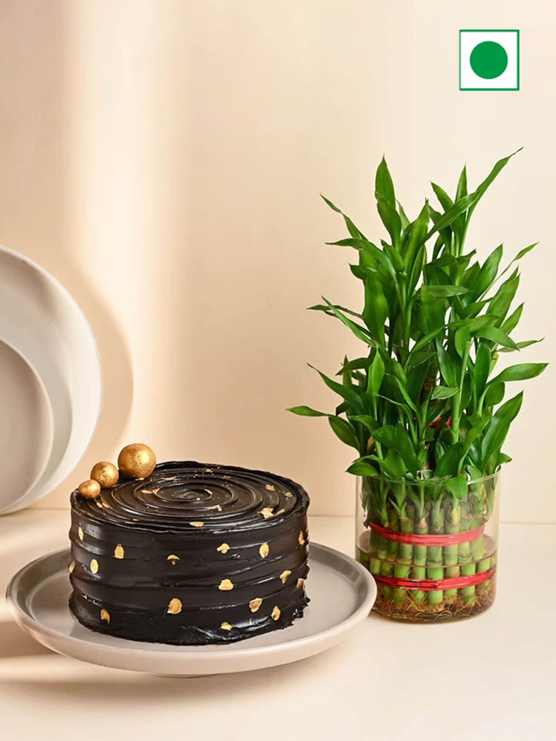 

Floweraura 3 Layers Live Bamboo Plant And Chocolate Cake-500 G, Green
