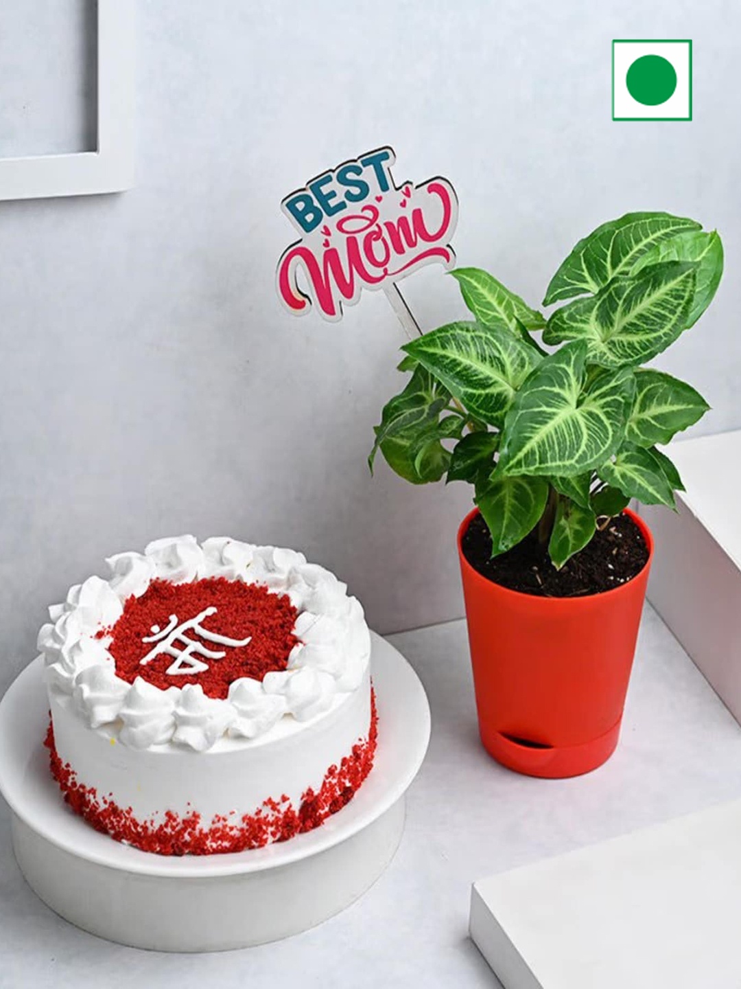 

Floweraura Red Velvet Eggless Round Cake 500gm With Syngonium Plant
