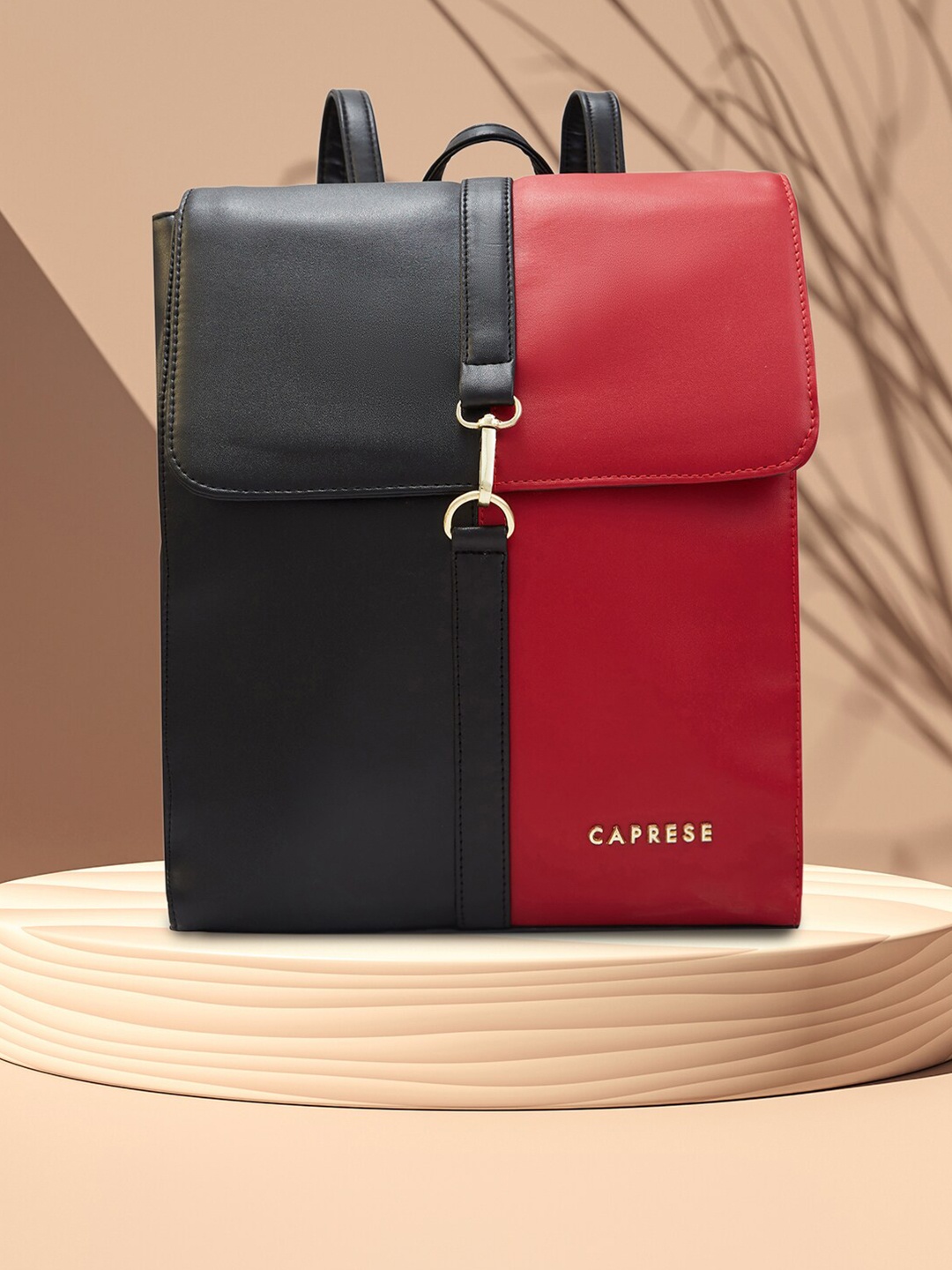 

Caprese Women Colourblocked Backpack, Black