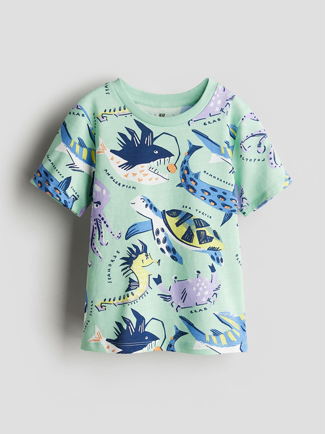 

H&M Boys Pure Cotton Printed T-shirt, Green