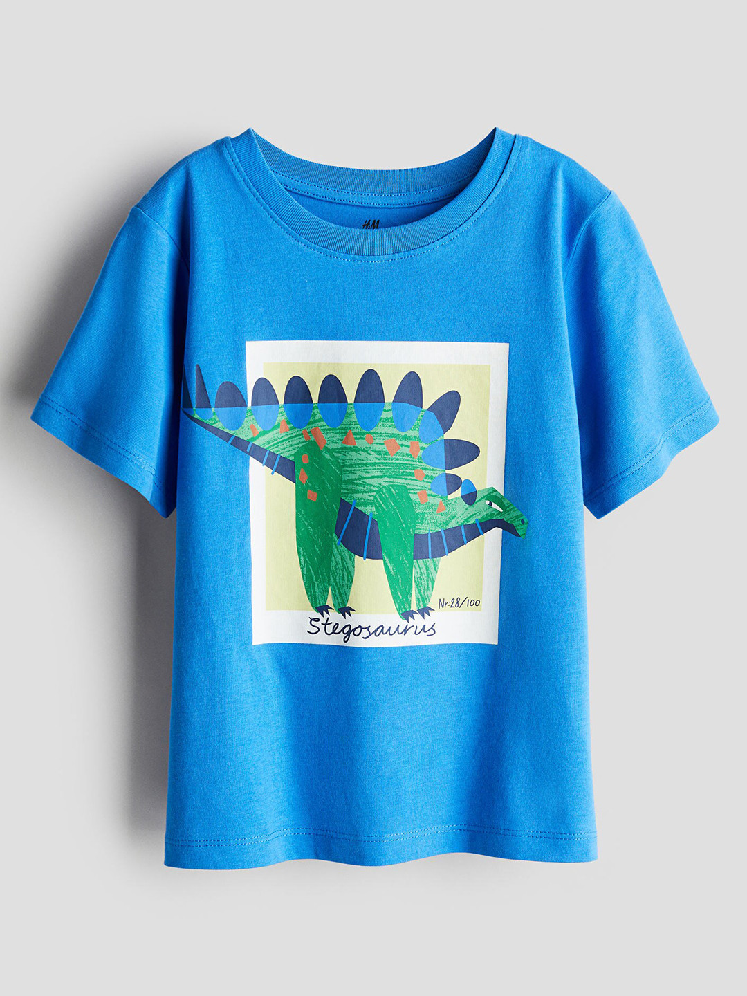 

H&M Boys Pure Cotton Printed T-shirt, Blue
