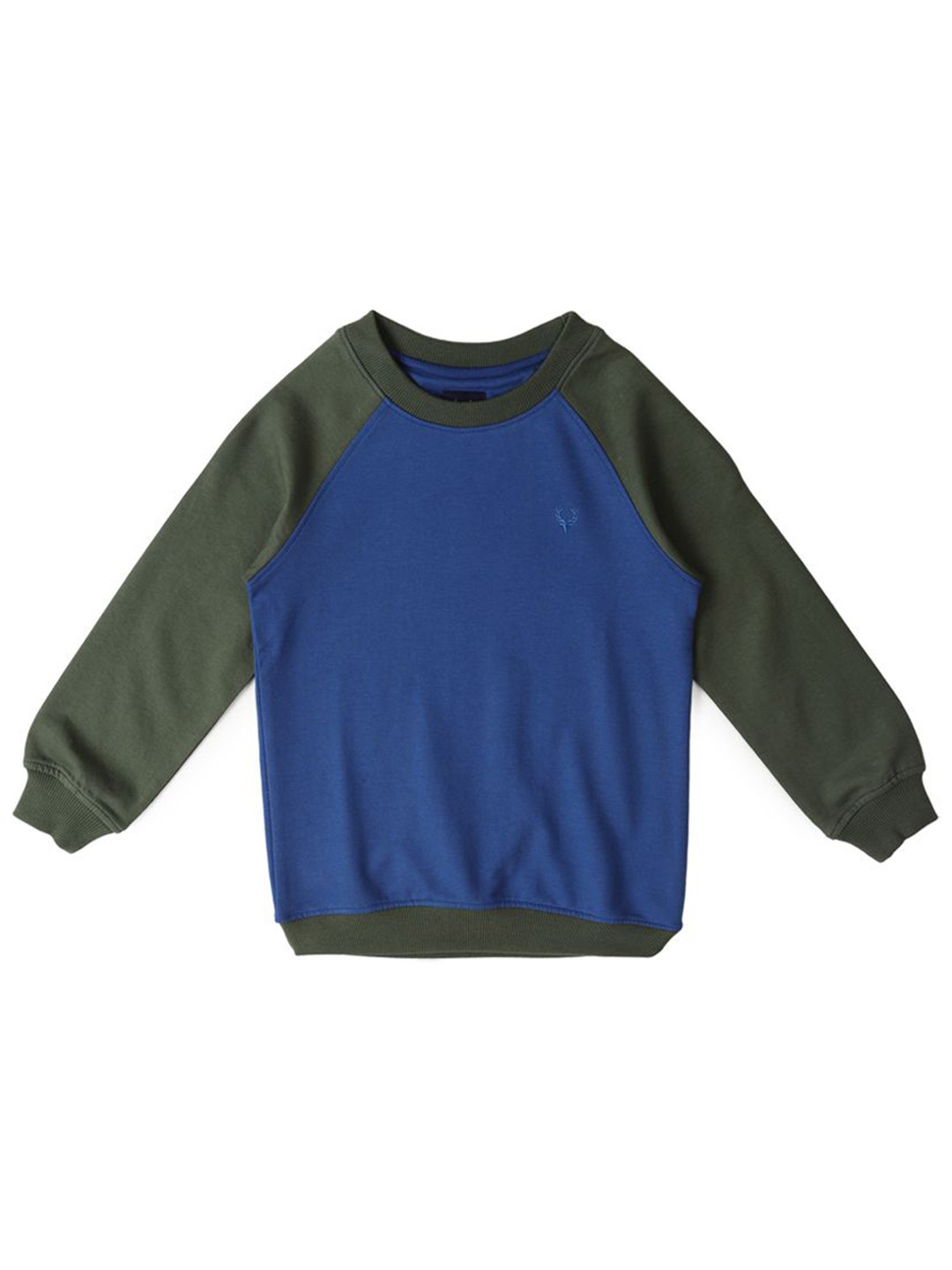 

Allen Solly Junior Boys Colourblocked Round Neck Long Sleeves Pullover Sweatshirt, Blue