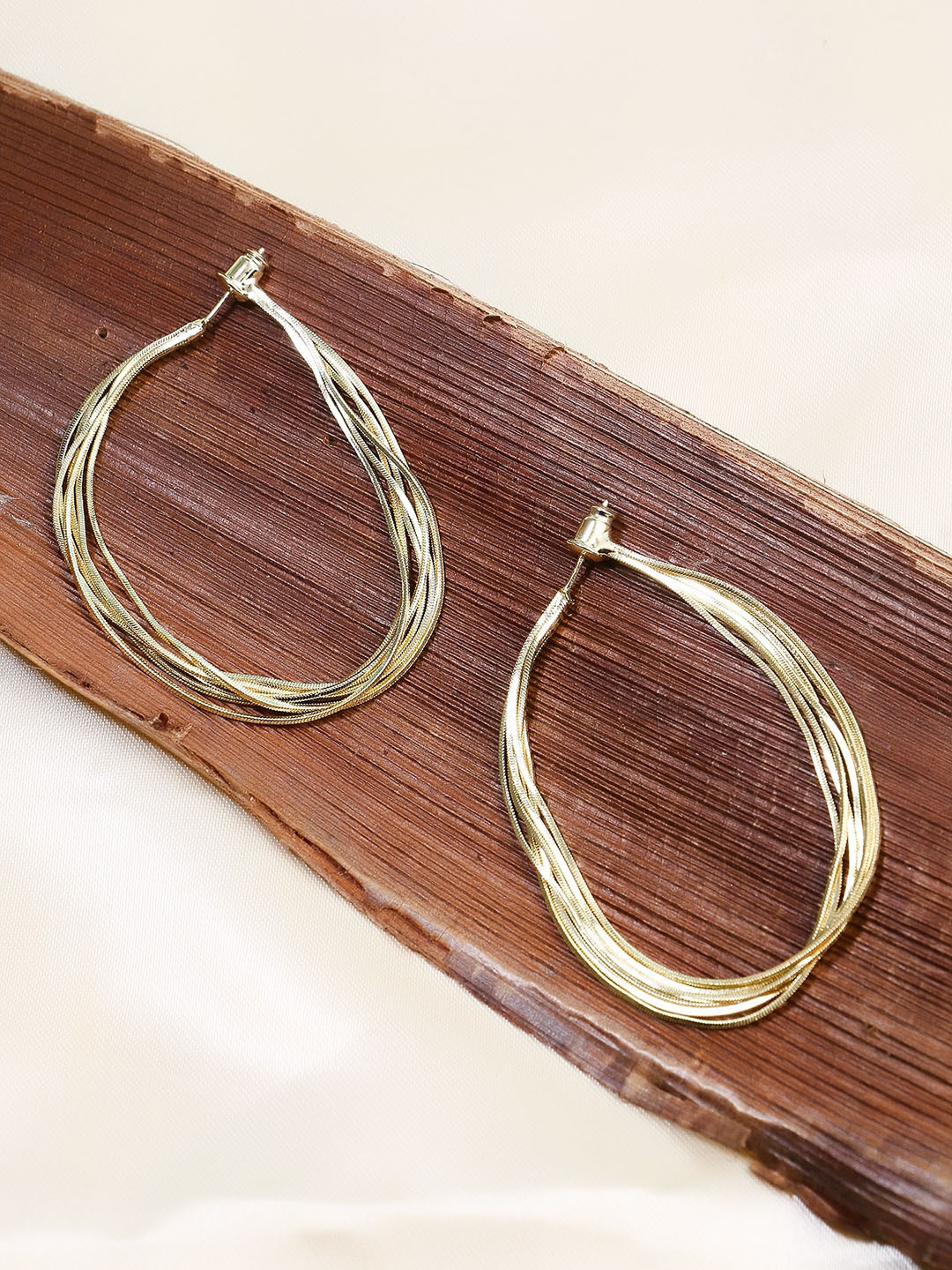 

Adwitiya Collection Gold-Plated Classic Hoop Earrings