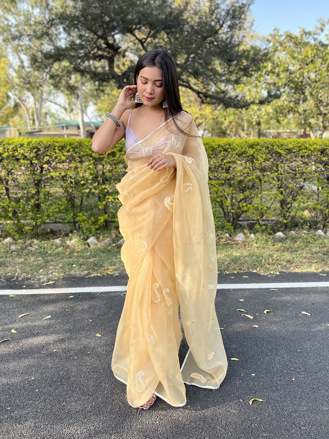 

SAREESBYCHIRAG Ethnic Motifs Embroidered Organza Saree, Yellow
