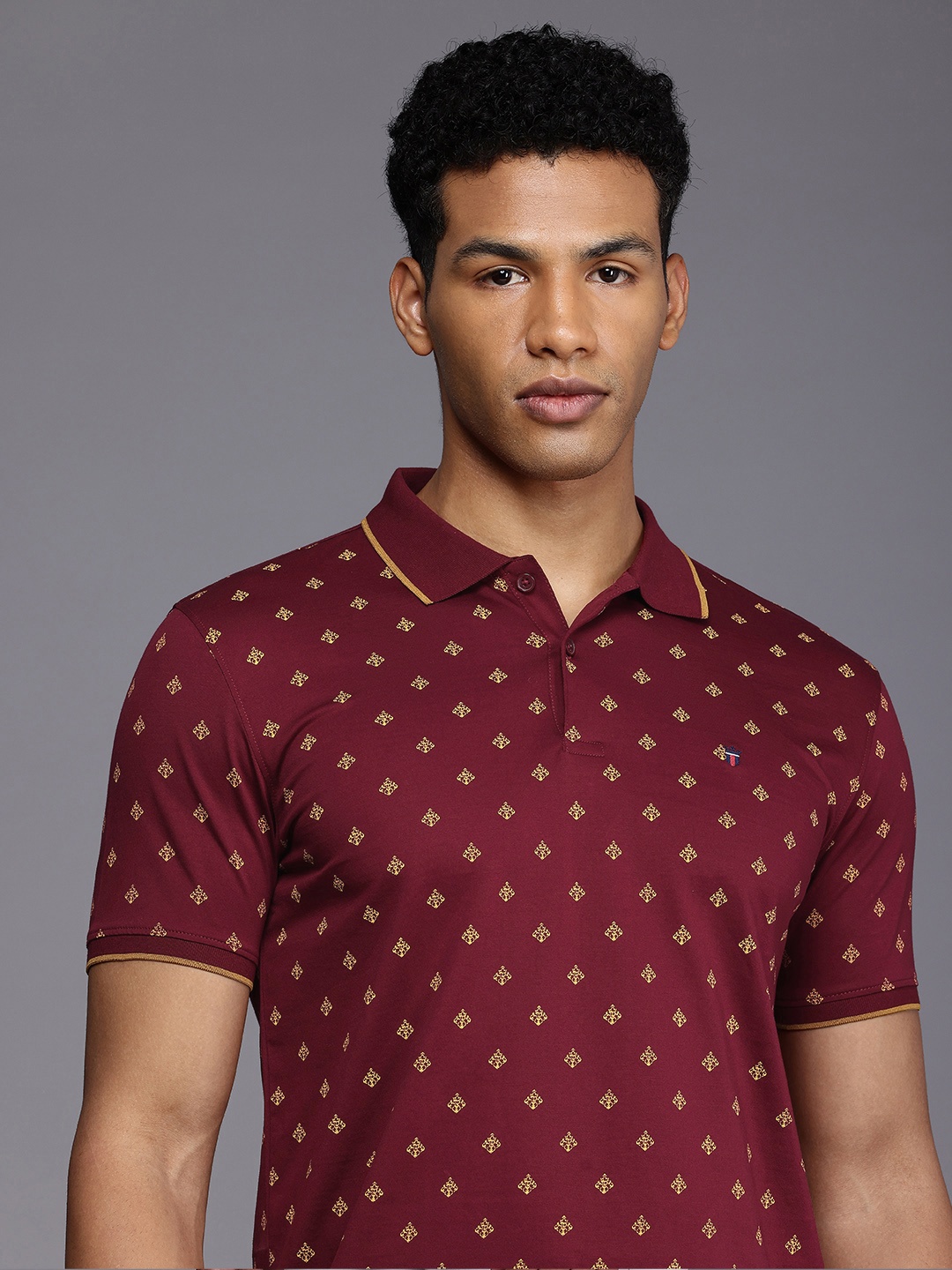 

Louis Philippe Sport Printed Polo Collar Pure Cotton Slim Fit T-shirt, Maroon
