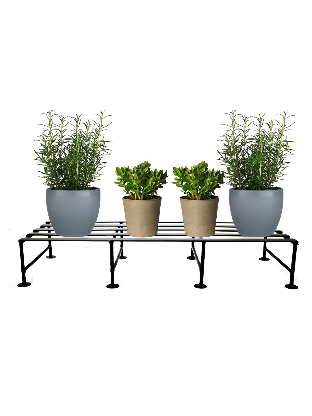 

ascent homes Black Rectangle Stand Planters