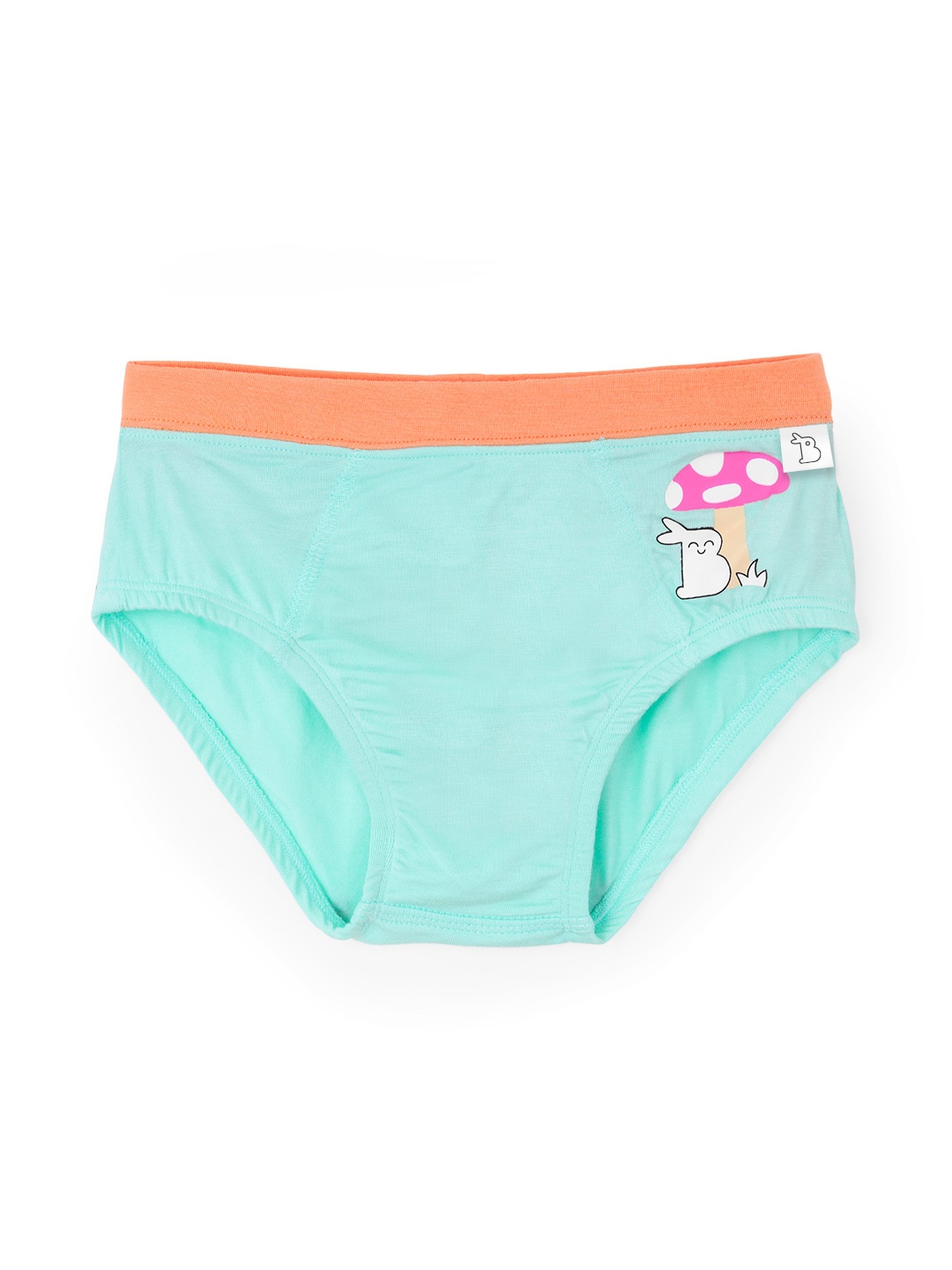 

SuperBottoms Boy Supersoft Premium Antimicrobial Mid-Rise Bamboo Briefs, Sea green