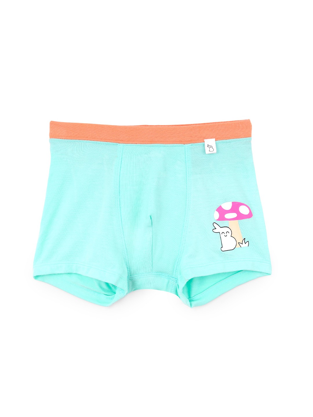 

SuperBottoms Boy Supersoft Premium Antimicrobial Mid-Rise Bamboo Trunks, Blue