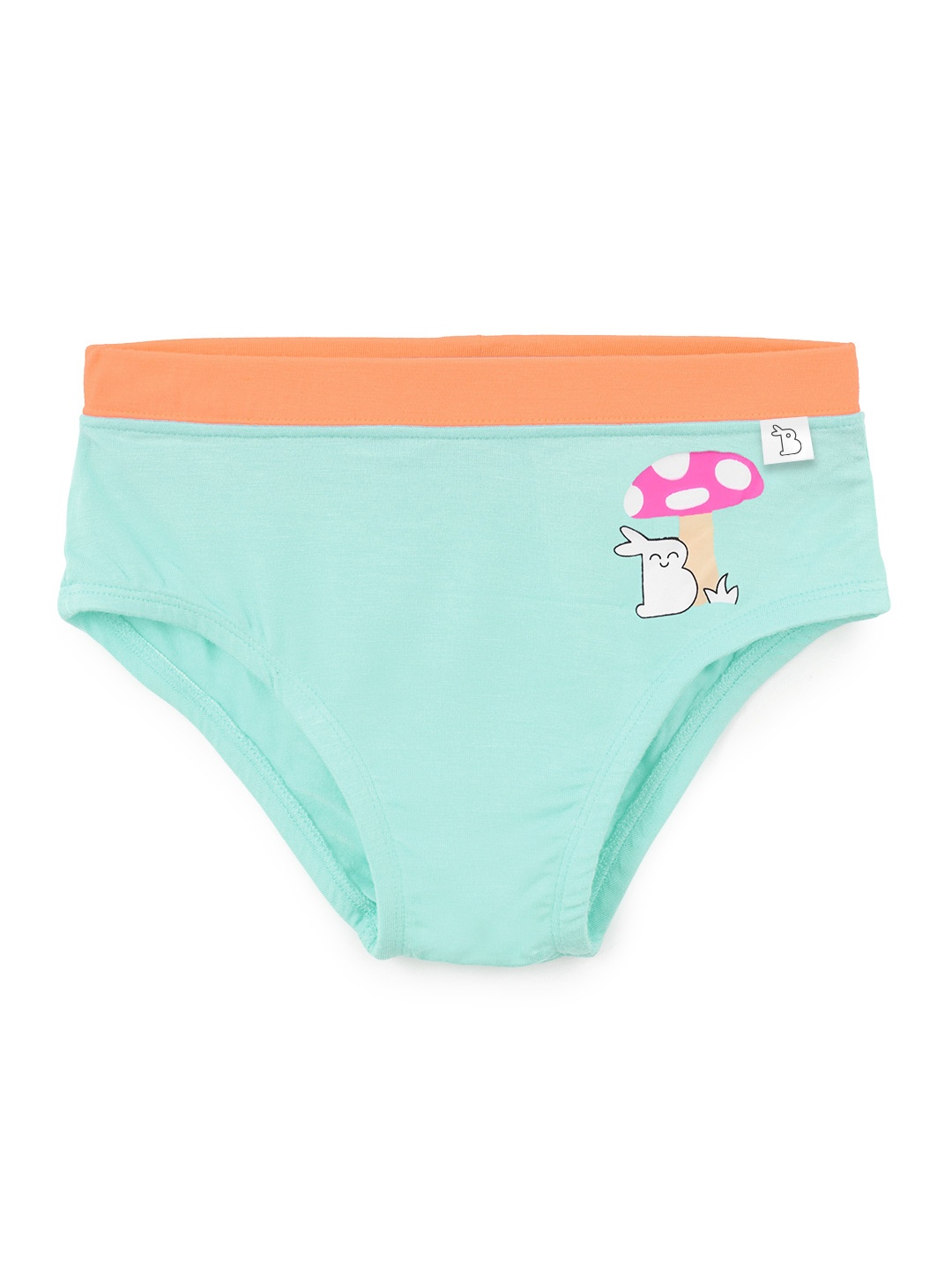 

SuperBottoms Girl Supersoft Premium Antimicrobial Mid-Rise Bamboo Briefs, Green