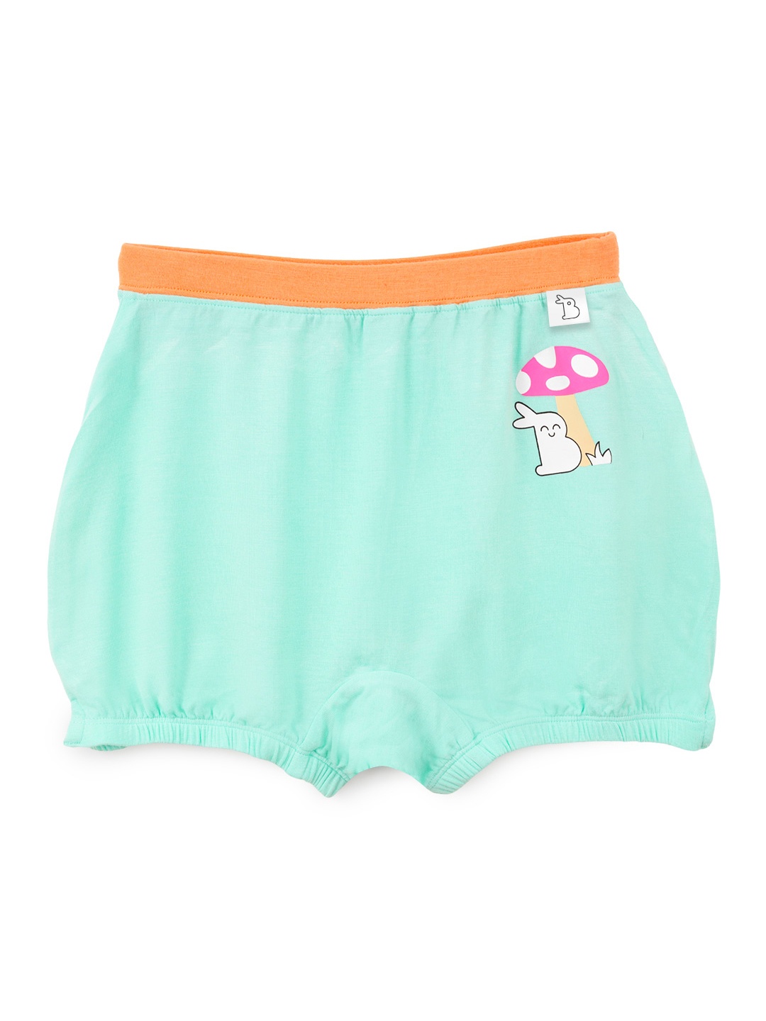 

SuperBottoms Girl Supersoft Premium Antimicrobial Mid-Rise Bamboo Bloomers, Sea green