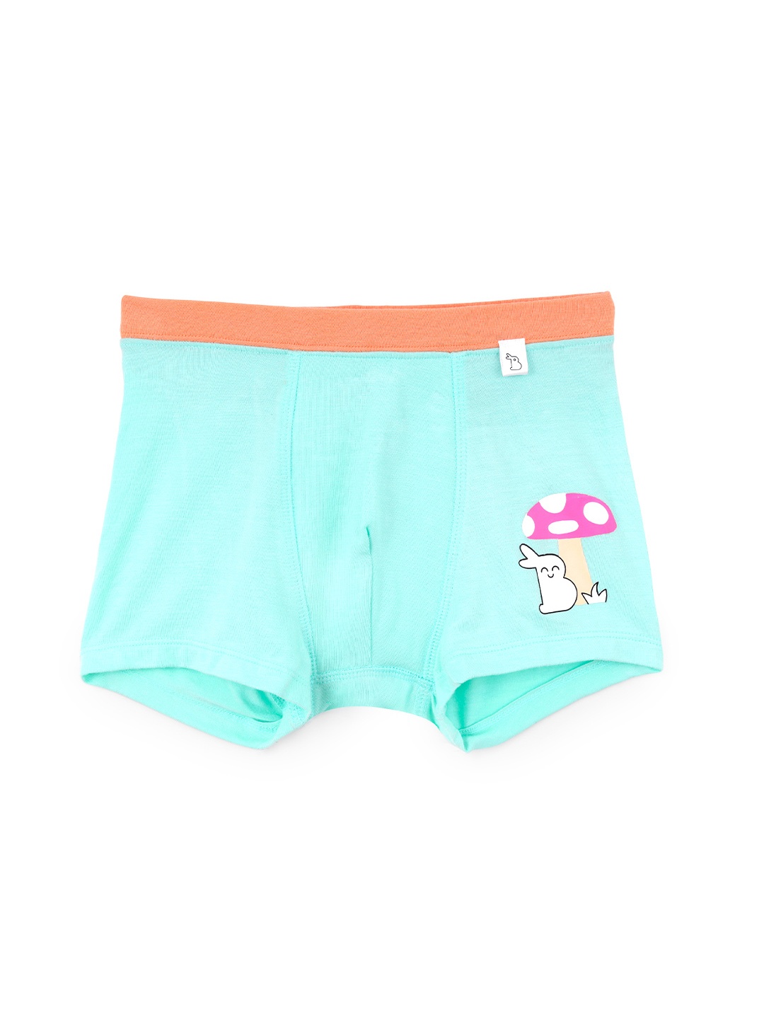 

SuperBottoms Boy Supersoft Premium Antimicrobial Mid-Rise Bamboo Trunks, Blue