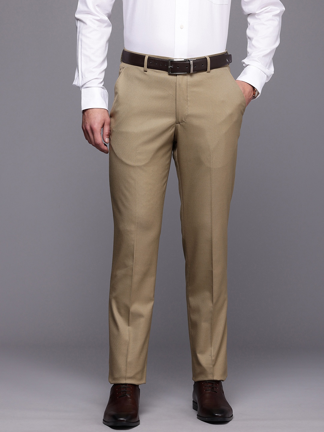 

Louis Philippe Men Textured Self Design Slim Fit Formal Trousers, Beige
