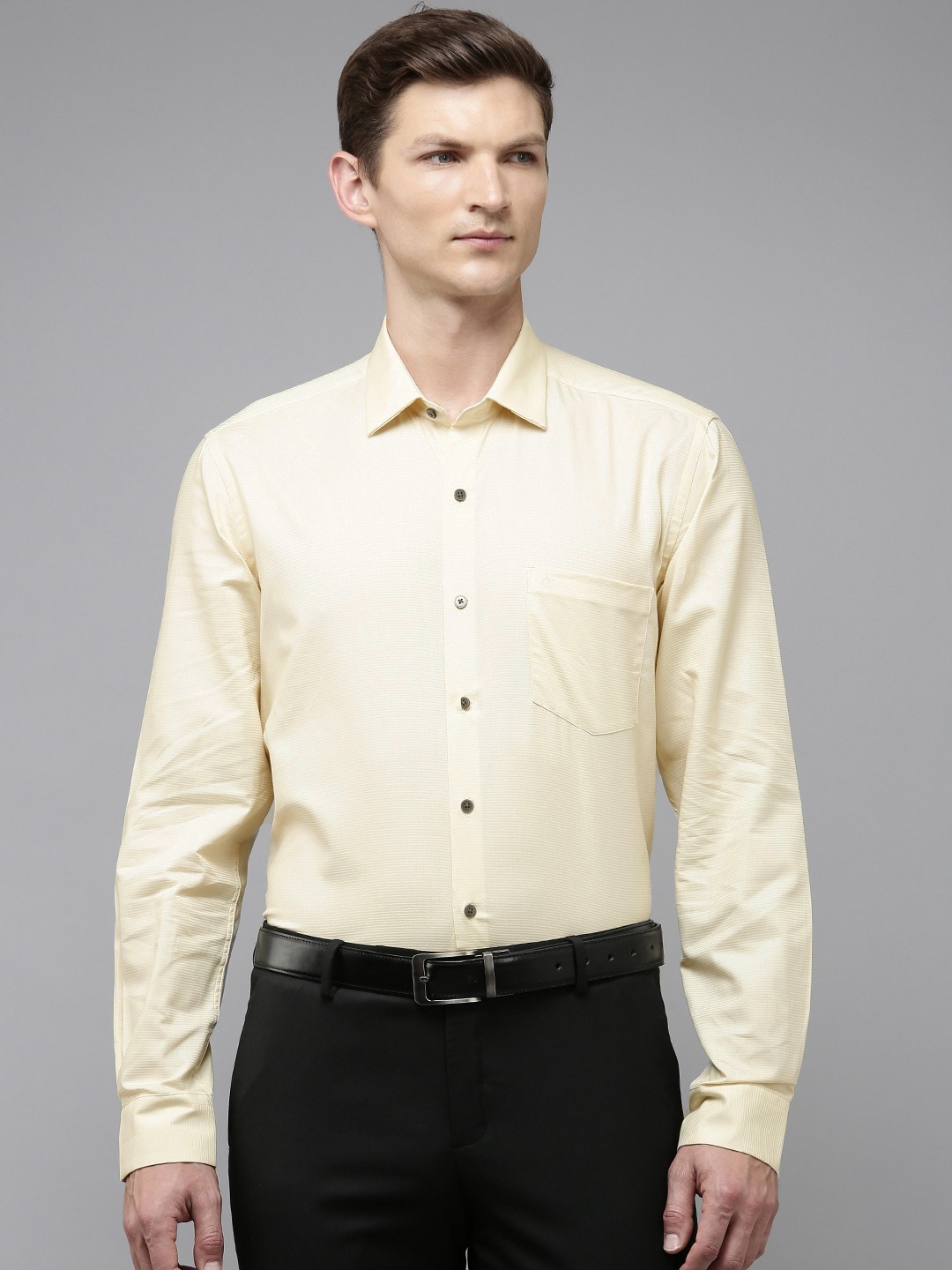 

Arrow Self Design Manhattan Slim Fit Opaque Pure Cotton Formal Shirt, Yellow
