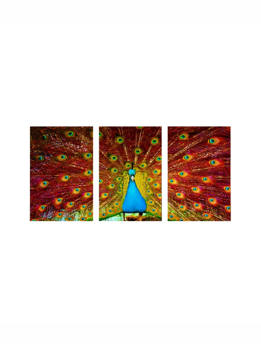 

999Store Red & Blue 3 Pieces Canvas Beautiful Peacock Birds and Animals Wall Art