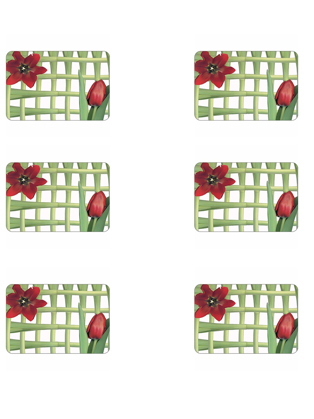 

Freelance White & Green 6 Pieces Printed Rectangular Table Placemats