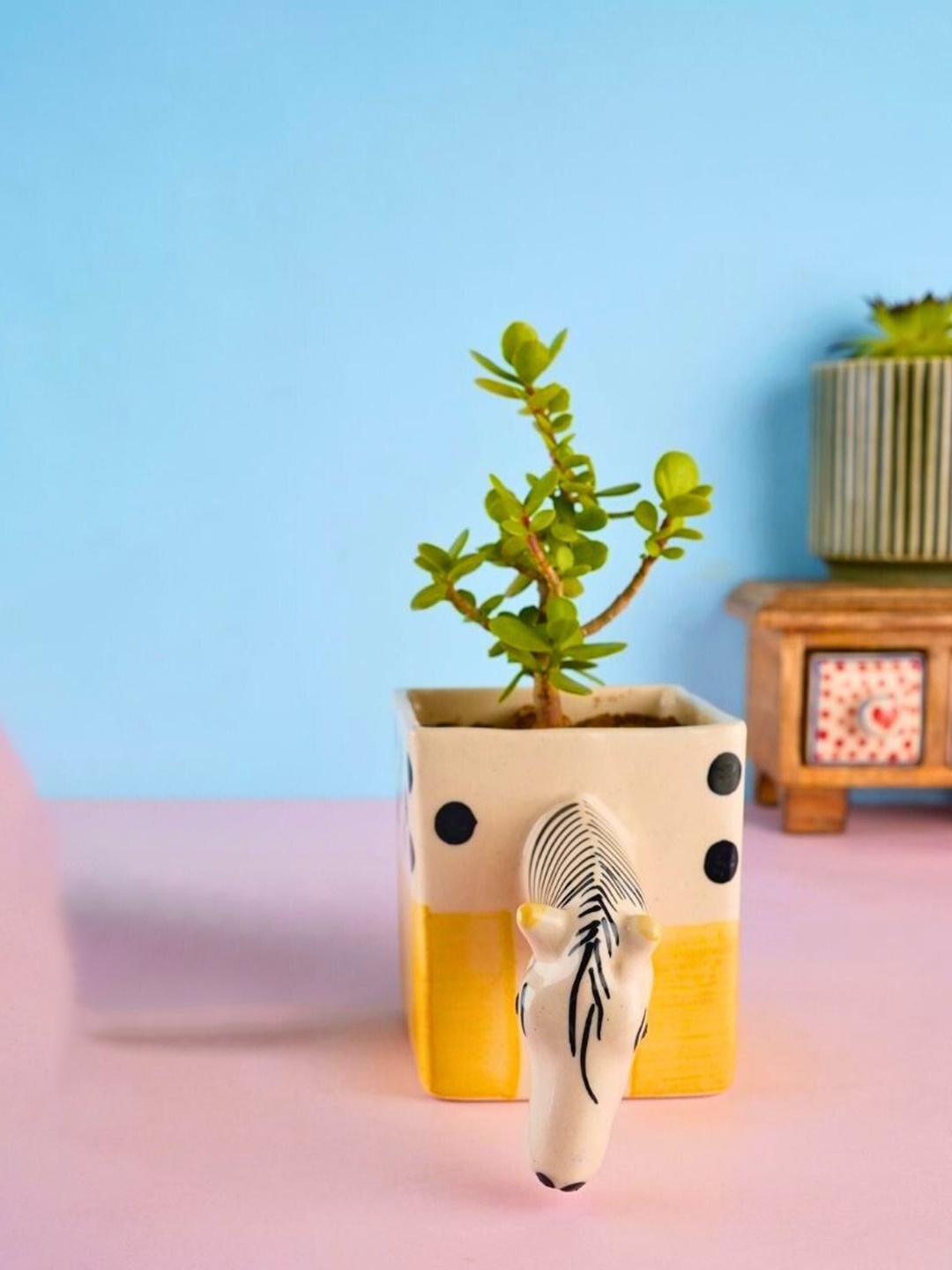 

WEAVING HOMES White Printed Ceramic Quirky Horse Planters