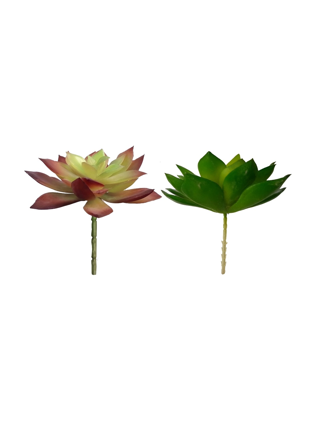 

Garden Deco Green 2 Pieces Succulent Artificial Plant