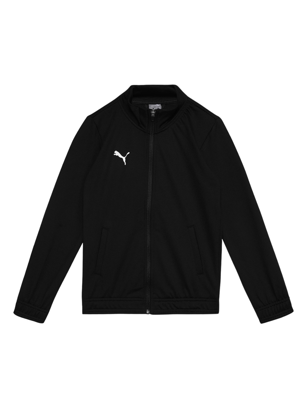 

Puma Boys Cricket Teamwear Youth Jacket, Black