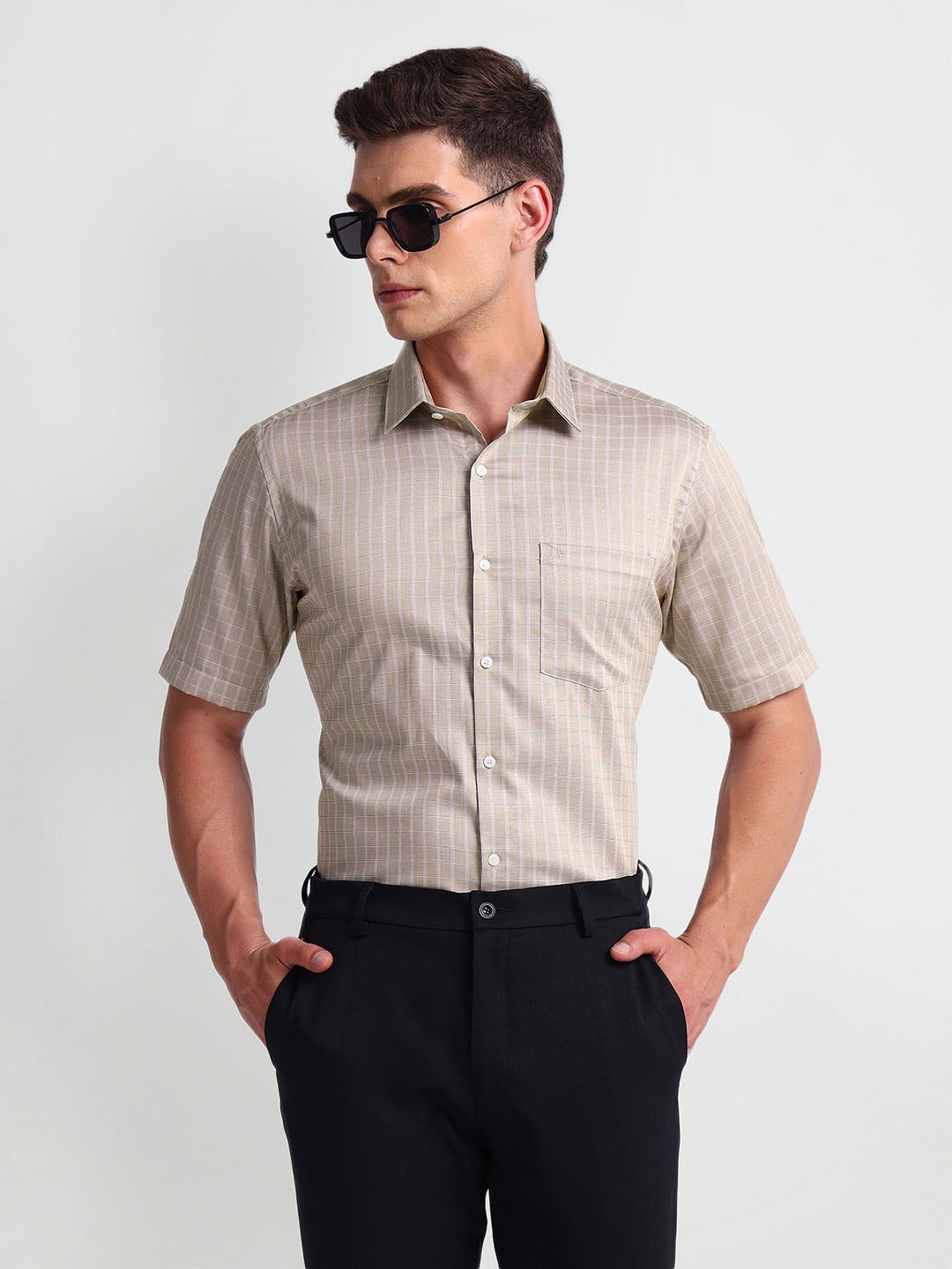 

Arrow Micro Checked Pure Cotton Formal Shirt, Brown