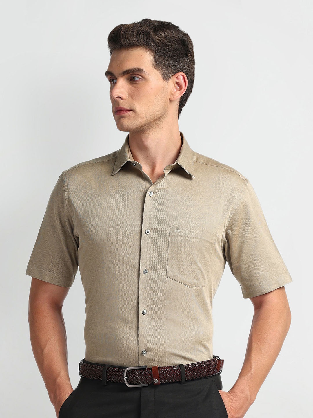 

Arrow Spread Collar Regular Fit Cotton Formal Shirt, Brown