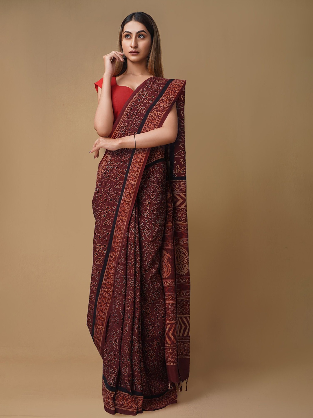 

Unnati Silks Ethnic Motifs Pure Silk Handloom Chanderi Saree, Brown