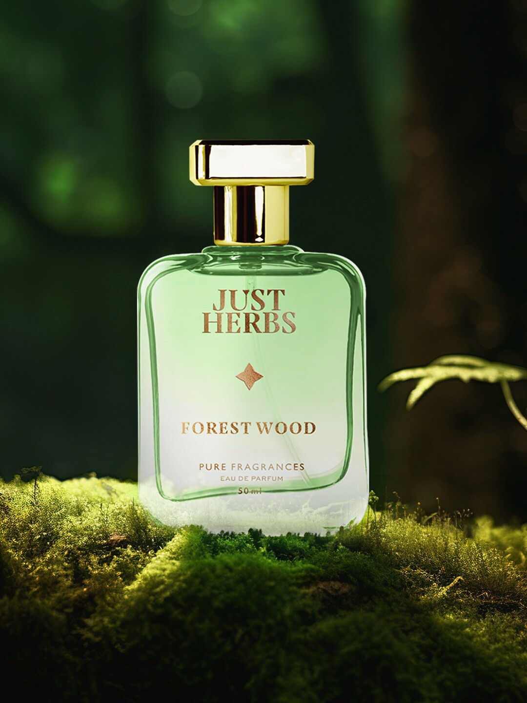 

Just Herbs Men Energising Forest Wood Long Lasting Eau De Parfum - 50 ml, Green