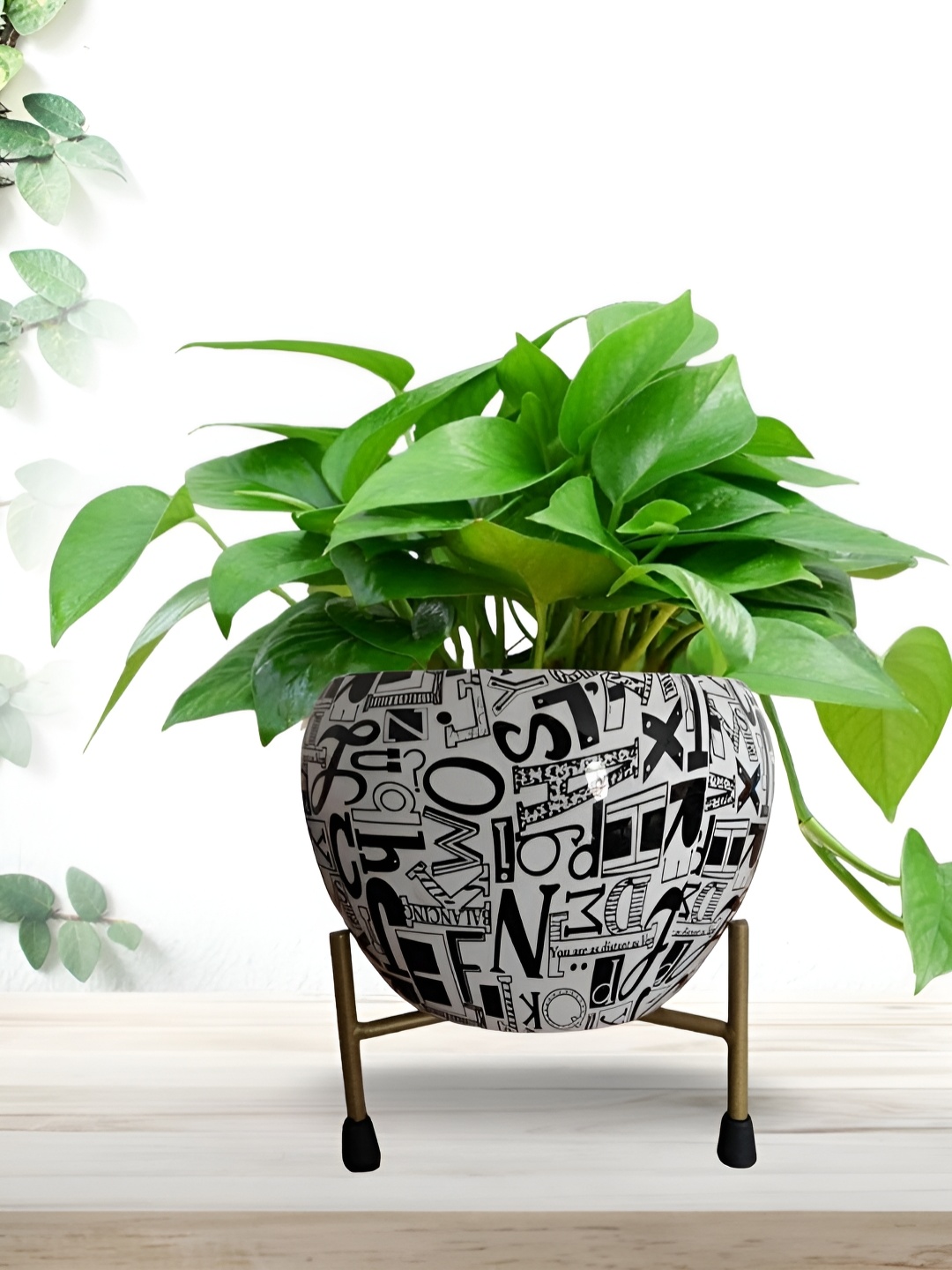 

Cinagro Black & White Printed Planter With Holder