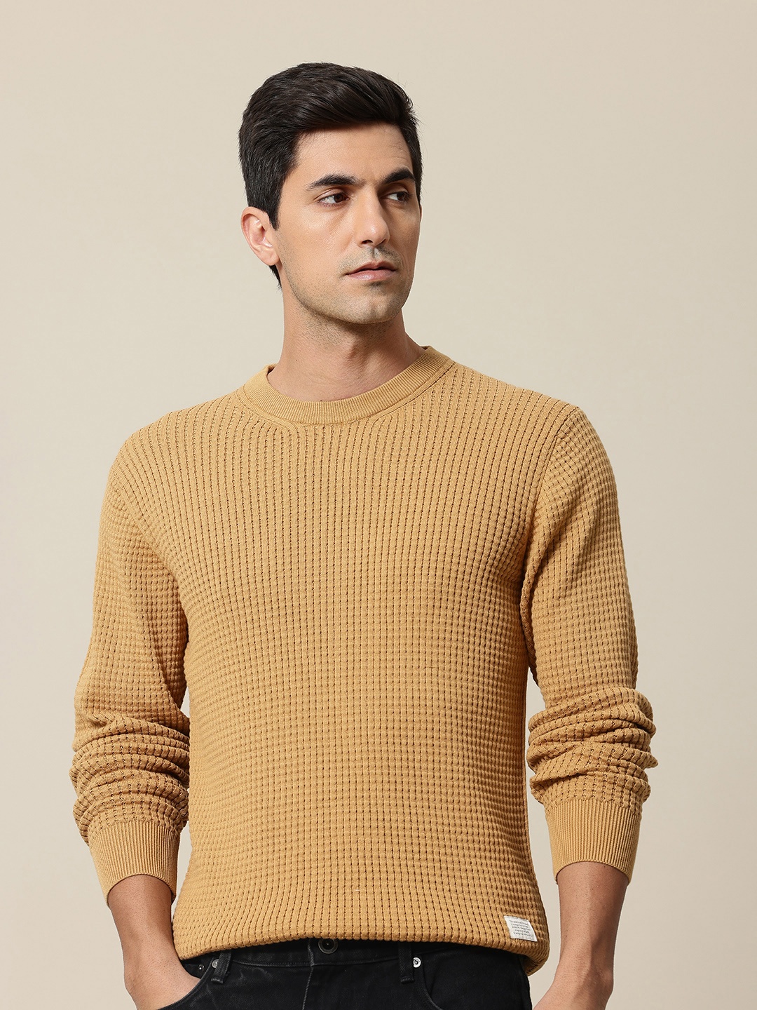 

Mr Bowerbird Pure Cotton Self-Design Pullover Sweater, Camel brown