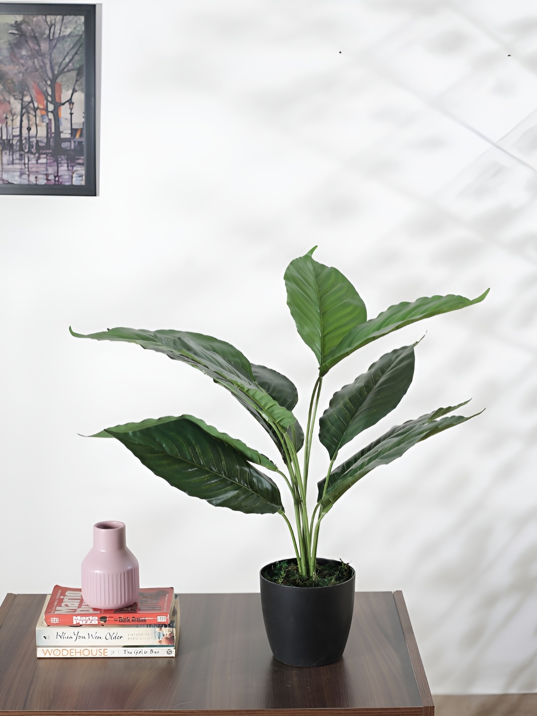 

Home Bloom Green & Black Taro Artificial Plant With Pot