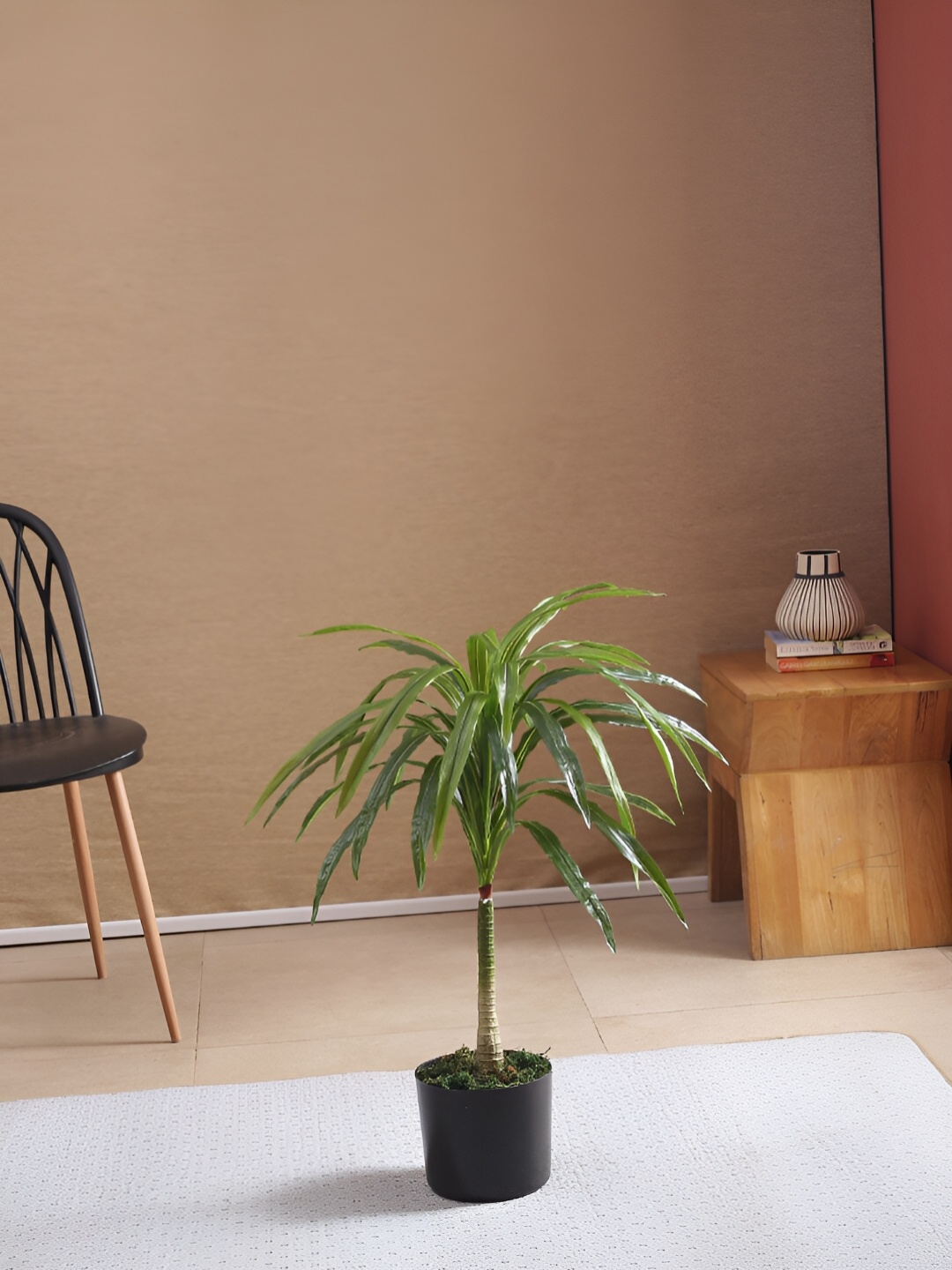 

Home Bloom Green & Black Dracaena Artificial Plant With Pot