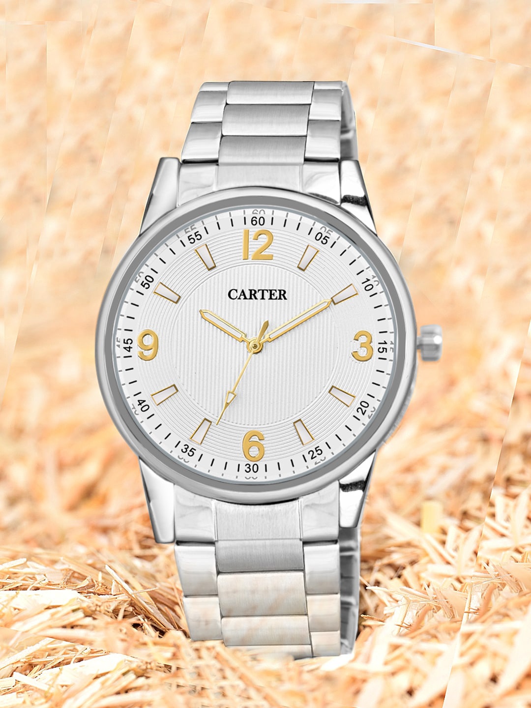 

Sandy D Carter Men Dial & Bracelet Style Straps Analogue Watch Sandy D Carter-190-WH, White