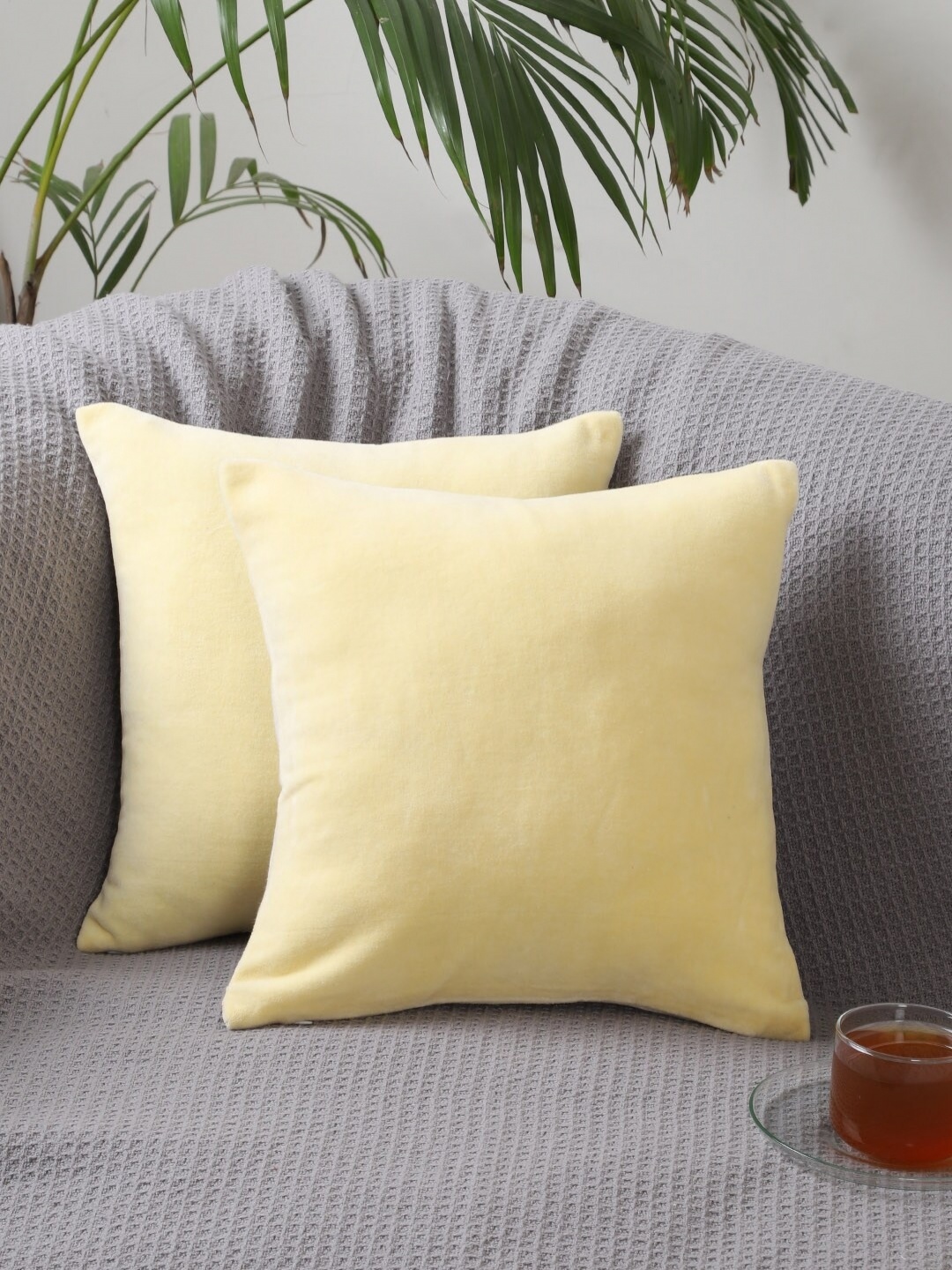 

Jamio Firati Yellow & White 2 Pieces Velvet Square Cushion Covers