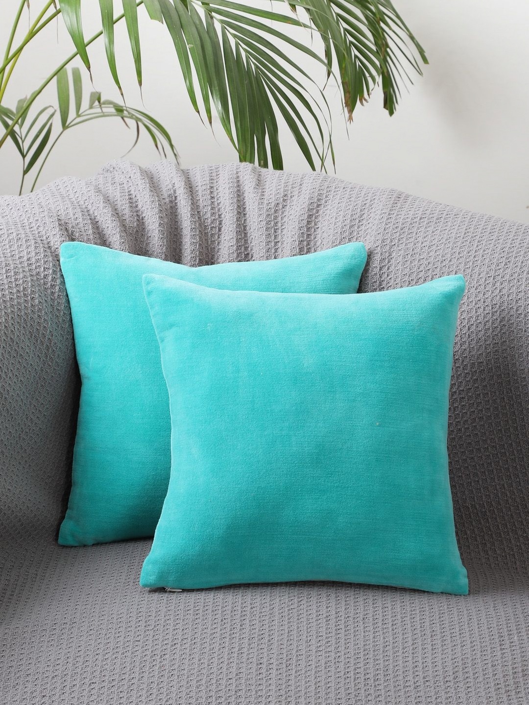 

Jamio Firati Blue & White 2 Pieces Velvet Square Cushion Covers