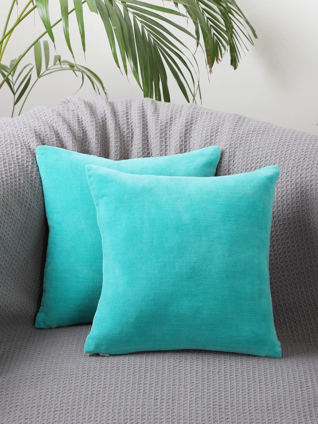 

Jamio Firati Turquoise Blue & White 2 Pieces Velvet Square Cushion Covers
