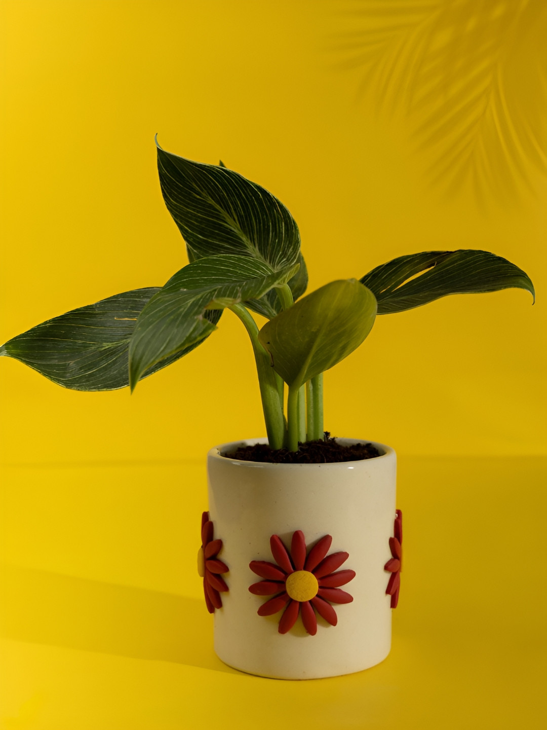 

Indikluster Cream & Red Textured Ceramic Planter, Off white