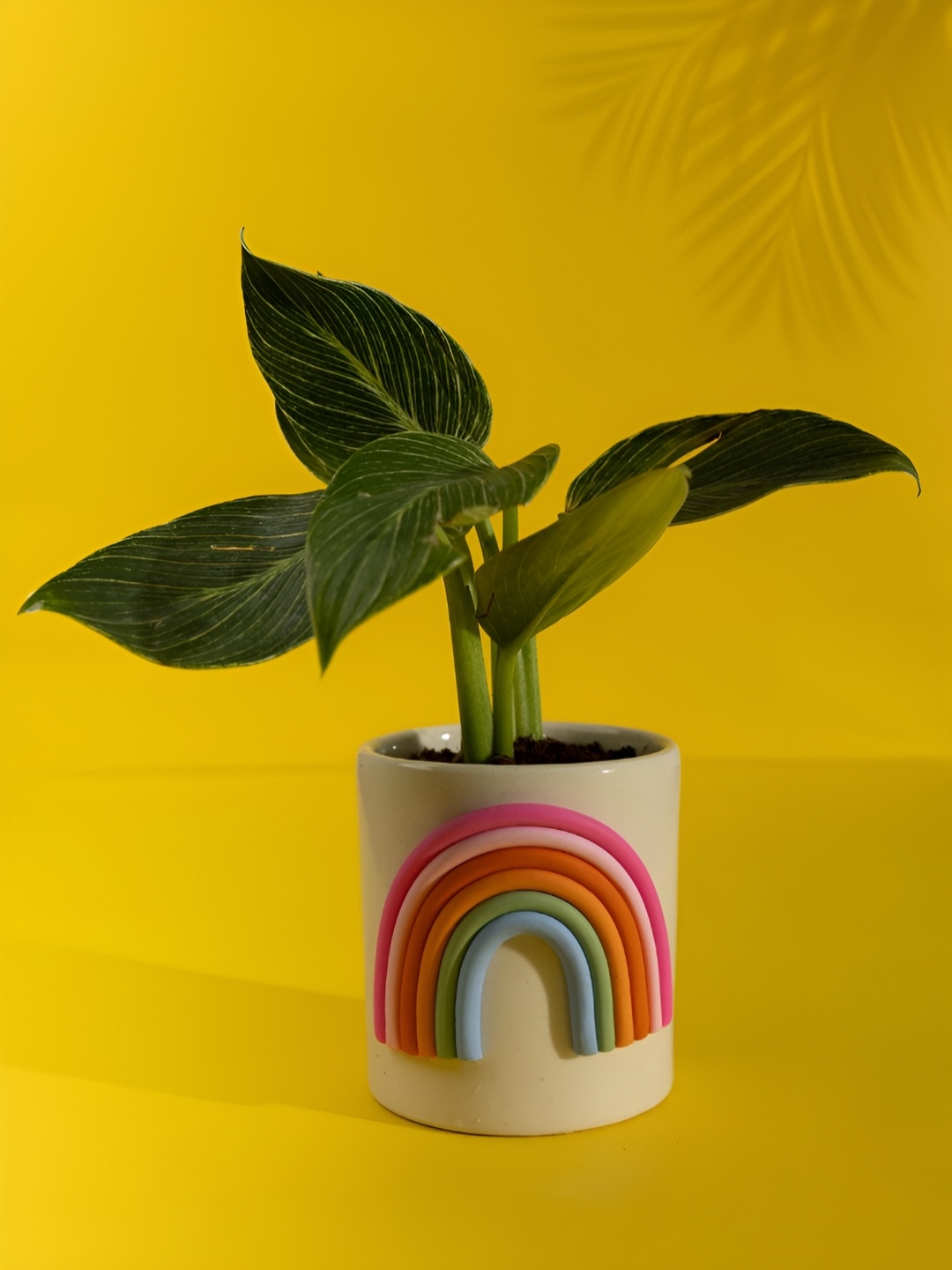 

Indikluster Off White & Pink Printed Happy Hues Planter