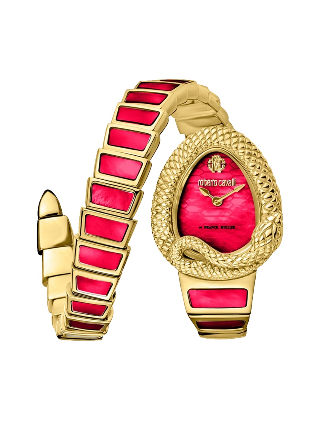 

Roberto Cavalli by Franck Muller Women Stainless Steel Straps Analogue Watch RV1L141M0141-, Red