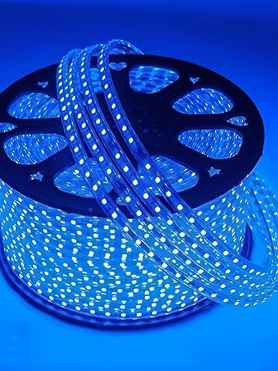 

SPARK WORLD Unisex 400 Blue Neon Rope LED String Lights